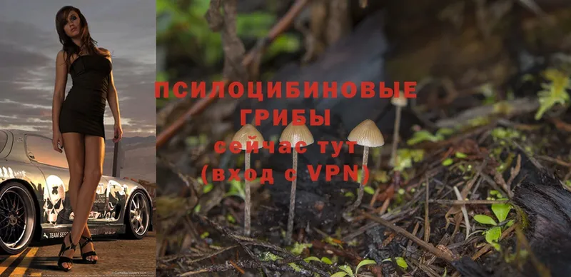 Галлюциногенные грибы MAGIC MUSHROOMS  Коммунар 